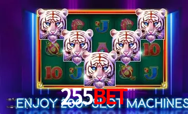 255bet